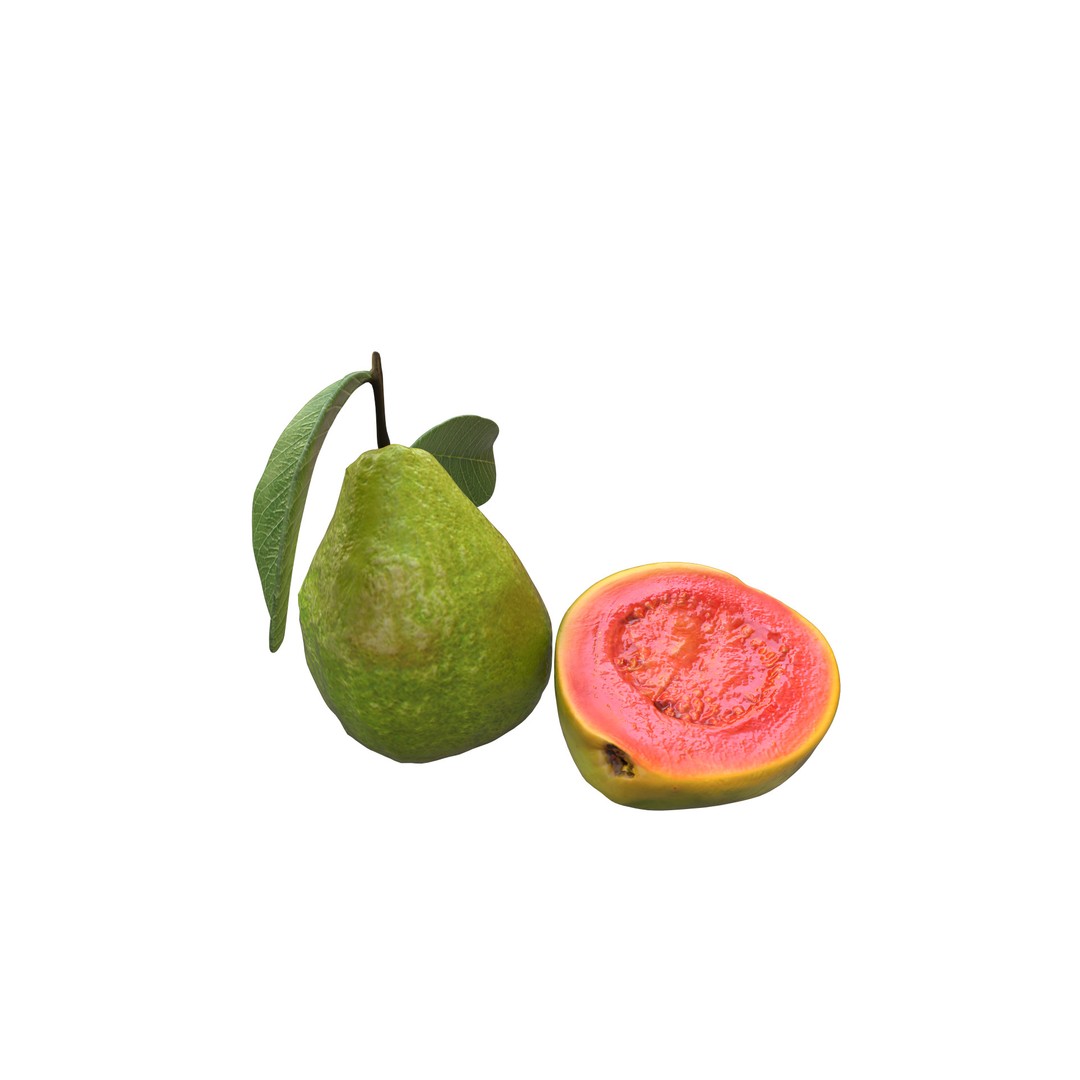 Guava 3D Model – Low Poly Game Asset, PBR Textures, FBX - View 3