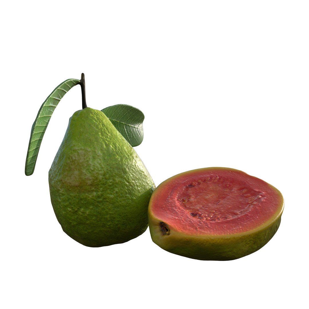 Guava 3D Model – Low Poly Game Asset, PBR Textures, FBX - View 4