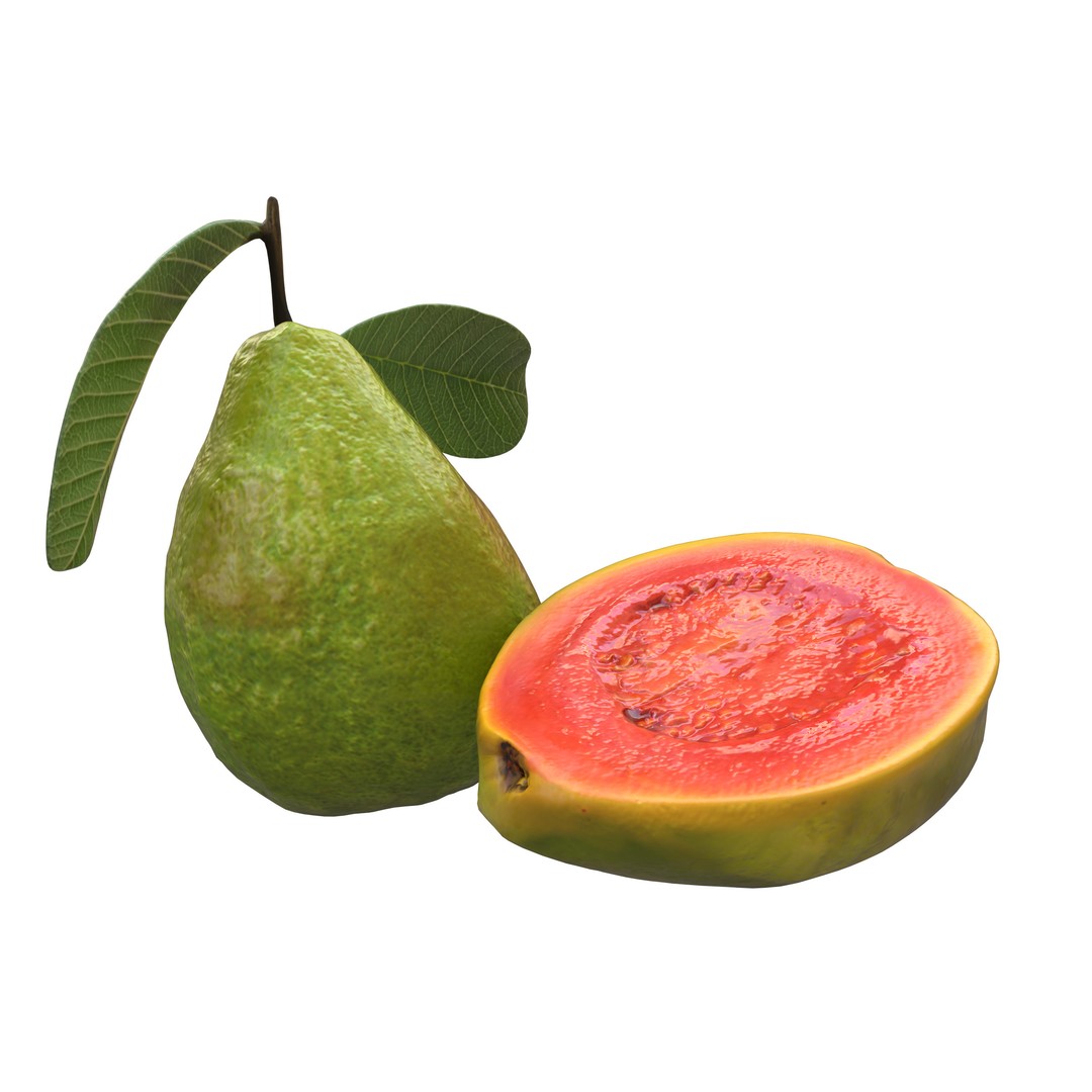 Guava 3D Model – Low Poly Game Asset, PBR Textures, FBX - View 5