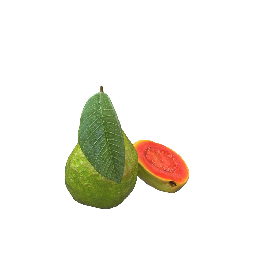Guava 3D Model – Low Poly Game Asset, PBR Textures, FBX - View 6