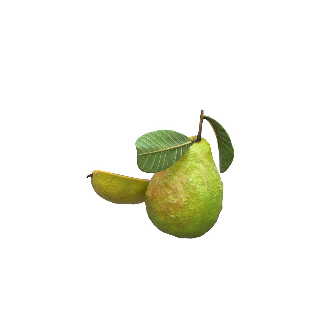 Guava 3D Model – Low Poly Game Asset, PBR Textures, FBX - View 7