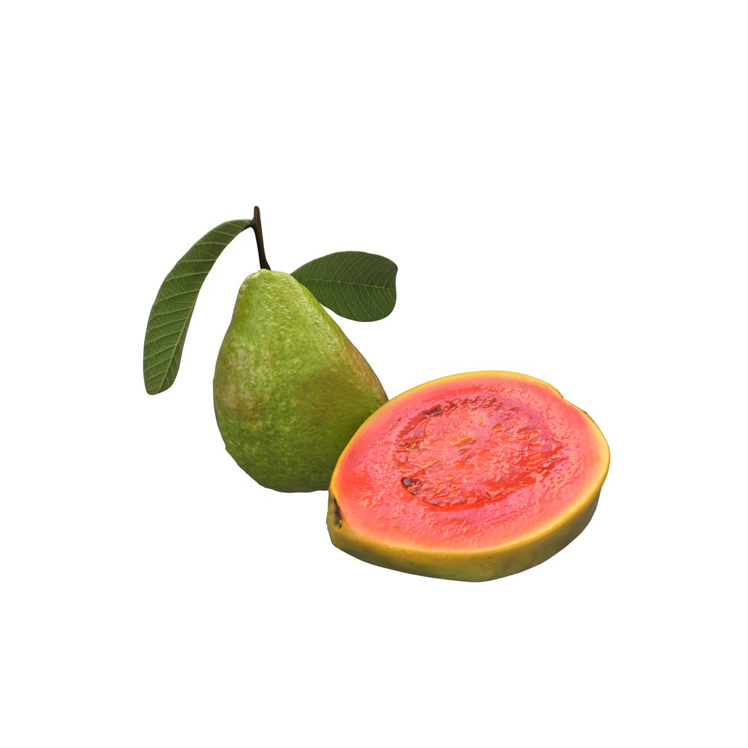 Guava 3D Model – Low Poly Game Asset, PBR Textures, FBX - View 9