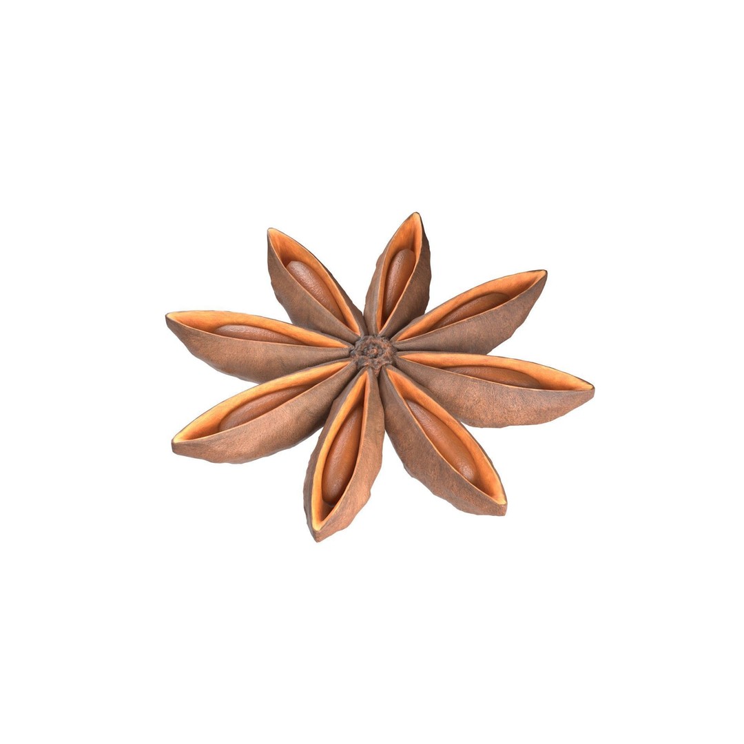 Spice Collection 3D Model – Low Poly PBR Set for Blender, FBX, OBJ - View 19