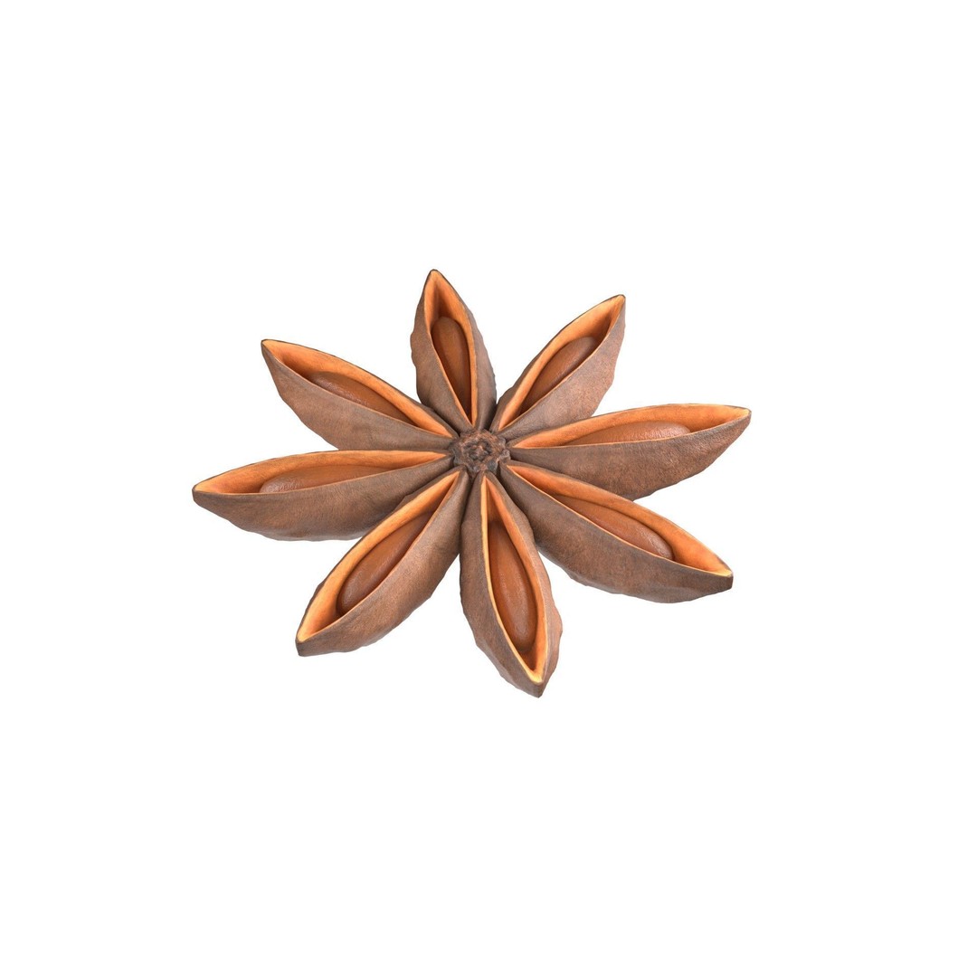 Spice Collection 3D Model – Low Poly PBR Set for Blender, FBX, OBJ - View 20