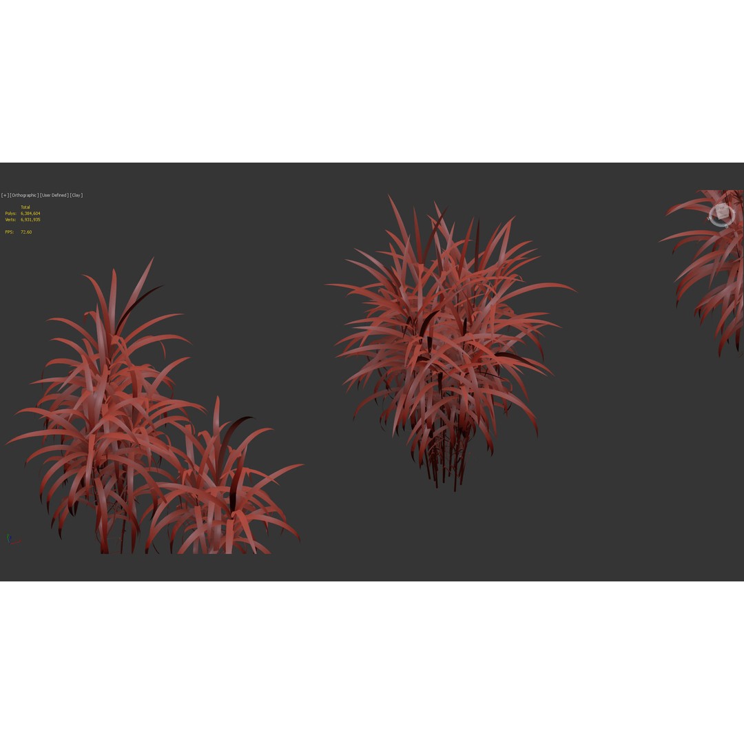 Giant Miscanthus 3D Model – Realistic Plant Asset, FBX, PBR