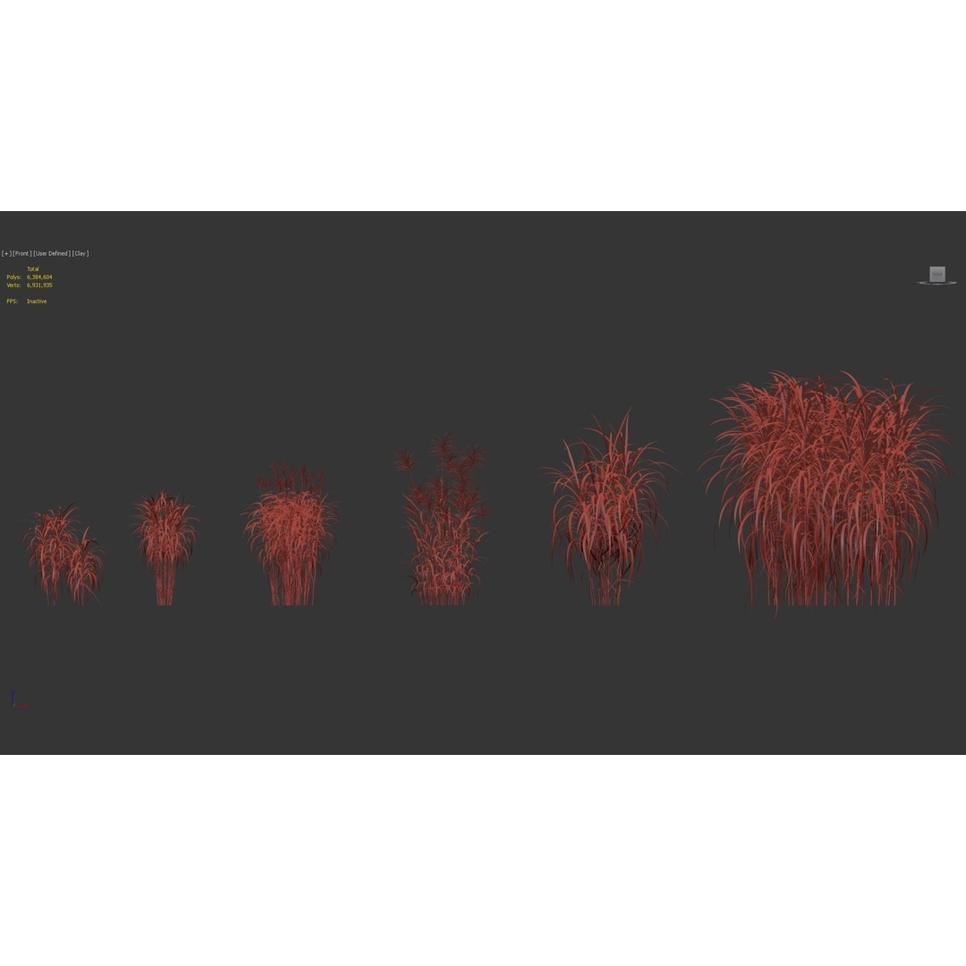 Giant Miscanthus 3D Model – Realistic Plant Asset, FBX, PBR - View 11