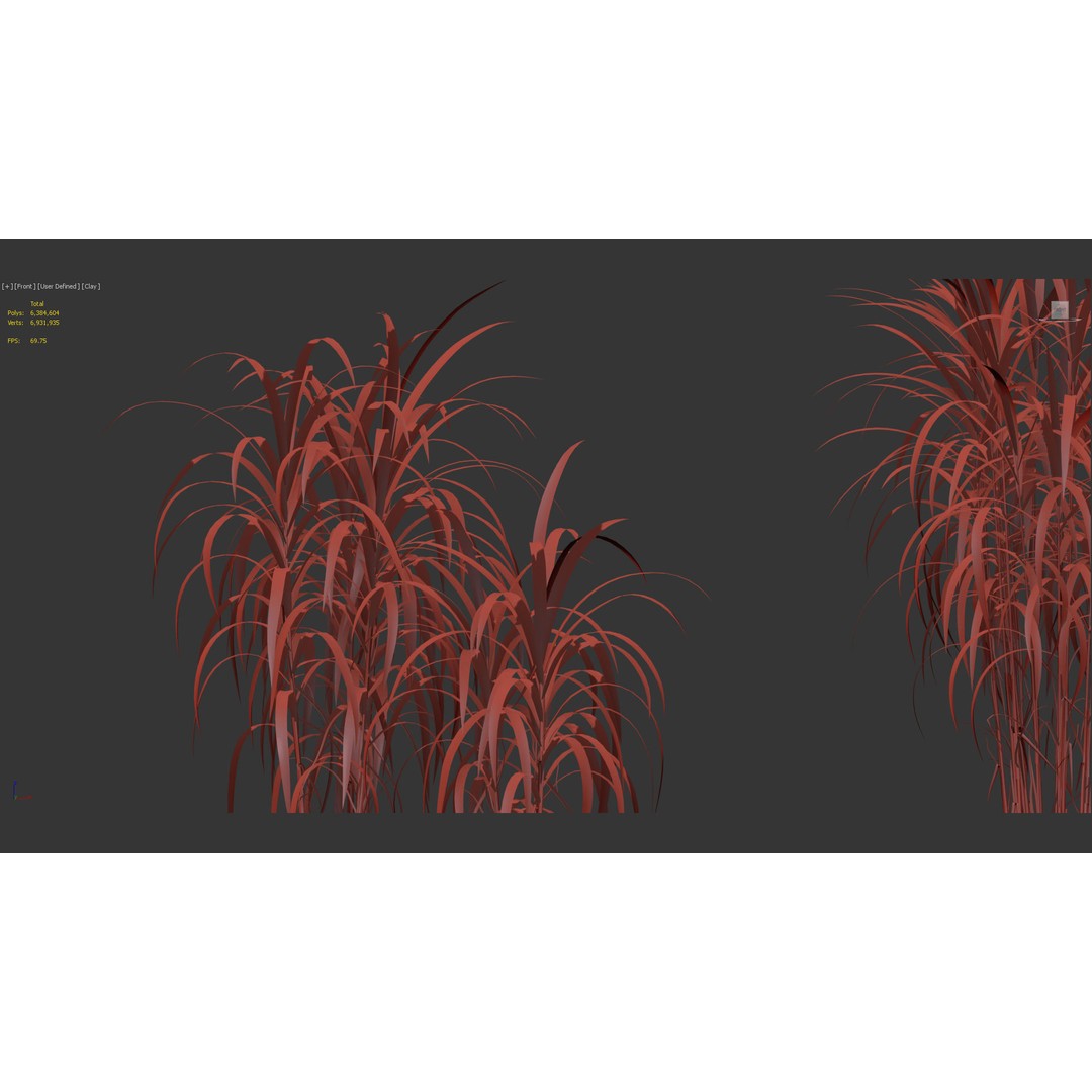 Giant Miscanthus 3D Model – Realistic Plant Asset, FBX, PBR - View 12