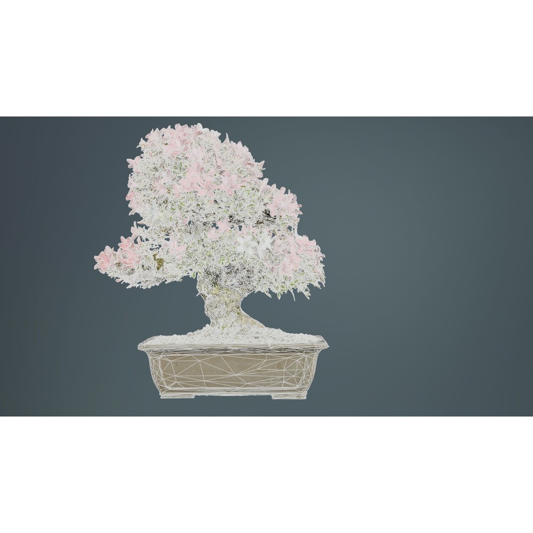 Satsuki Azalea 3D Model – Low Poly Bonsai Tree with PBR Textures - View 12