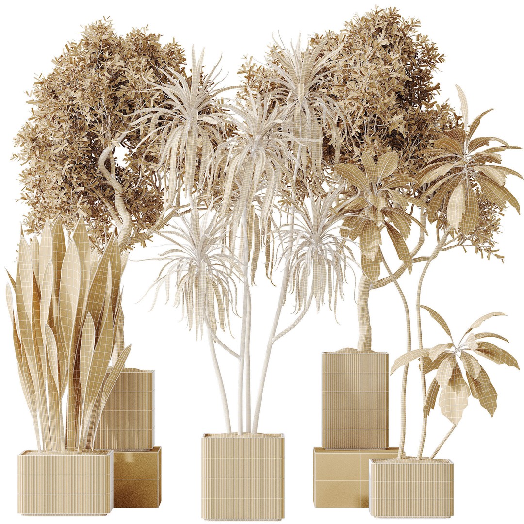 Indoor Plants 3D Model – Realistic Olive, Lemon, and Ficus Set