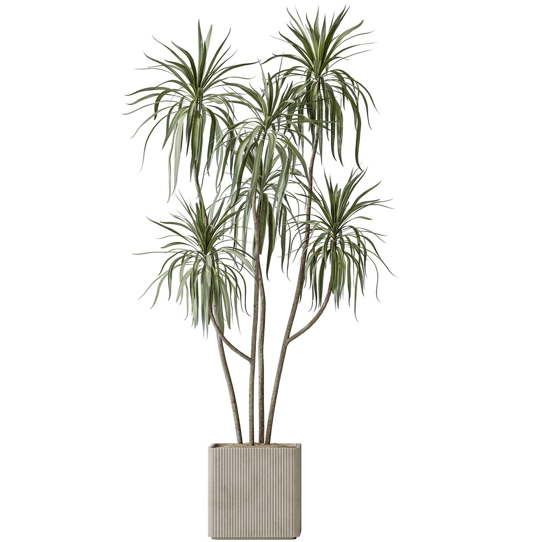 Indoor Plants 3D Model – Realistic Olive, Lemon, and Ficus Set - View 3