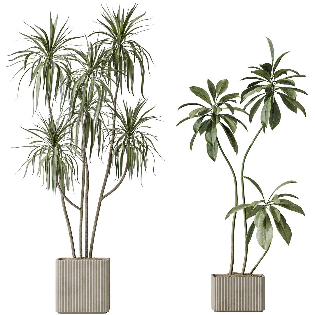 Indoor Plants 3D Model – Realistic Olive, Lemon, and Ficus Set - View 6