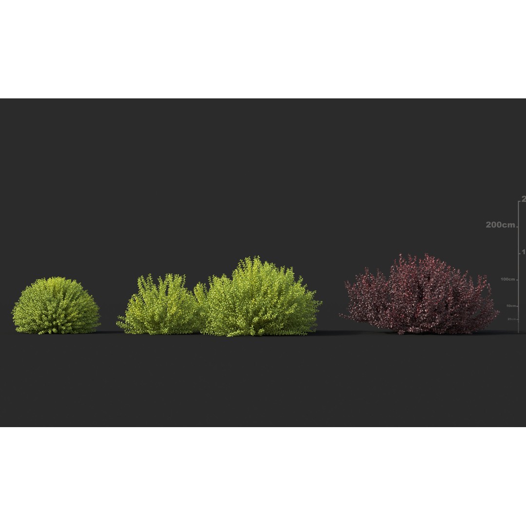 Japanese Plants 3D Model – High-Quality Bush Collection, FBX & GrowFX - View 10