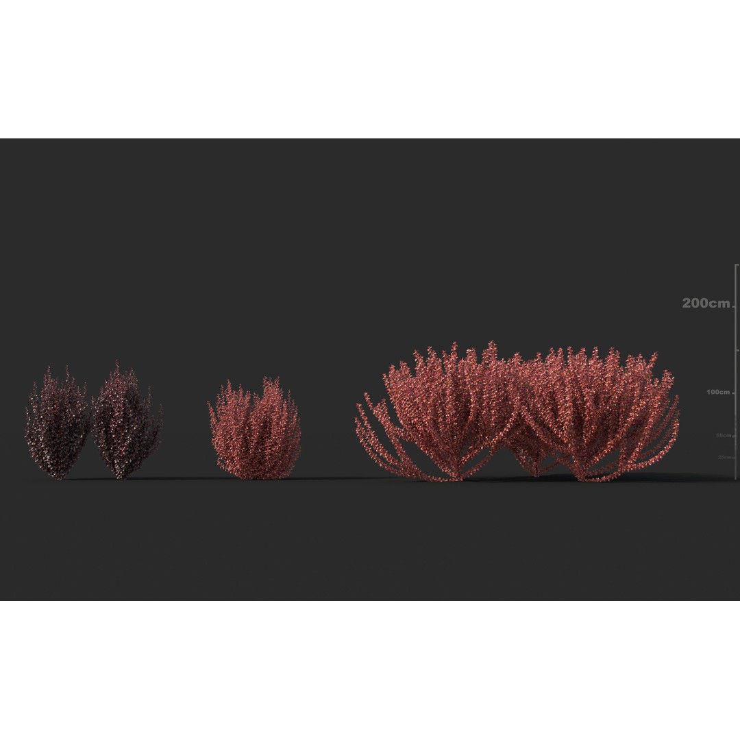 Japanese Plants 3D Model – High-Quality Bush Collection, FBX & GrowFX - View 11