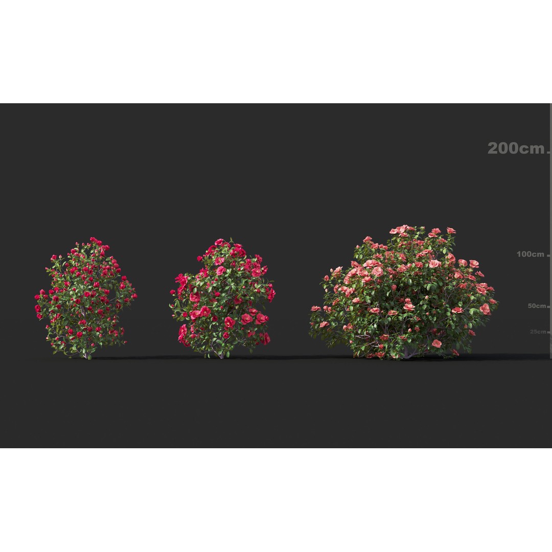 Japanese Plants 3D Model – High-Quality Bush Collection, FBX & GrowFX - View 14