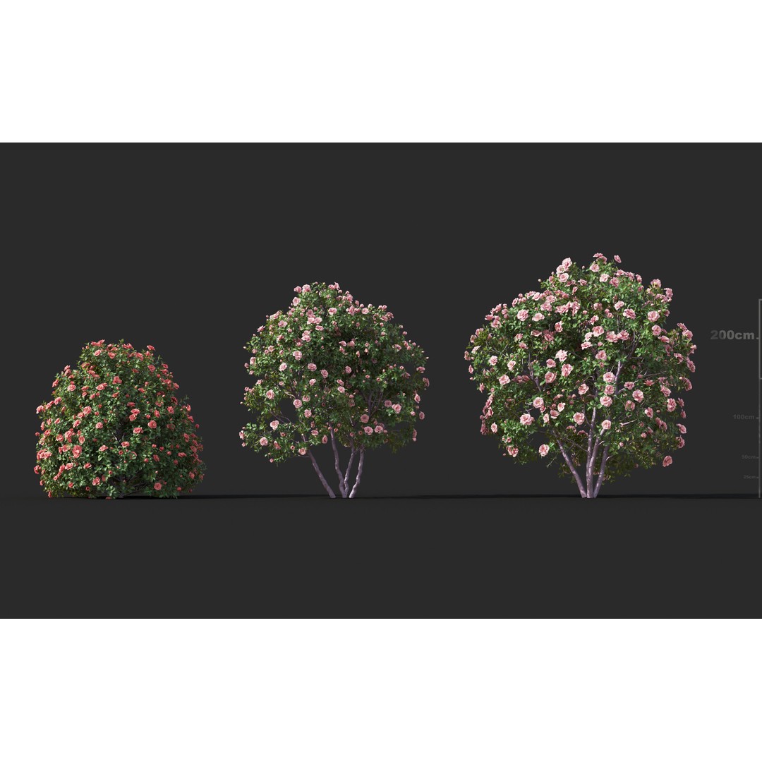 Japanese Plants 3D Model – High-Quality Bush Collection, FBX & GrowFX - View 15