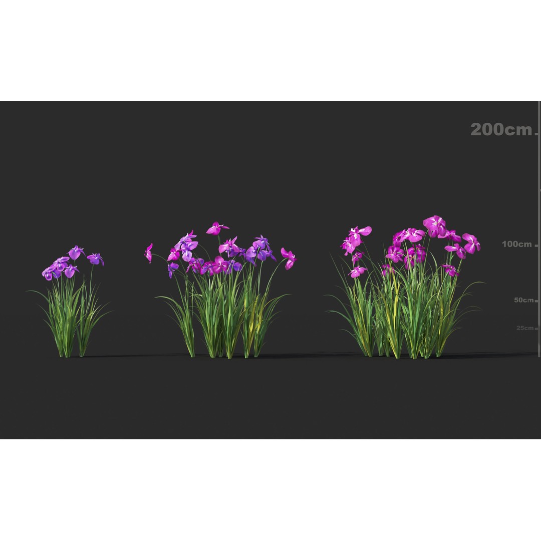 Japanese Plants 3D Model – High-Quality Bush Collection, FBX & GrowFX - View 16