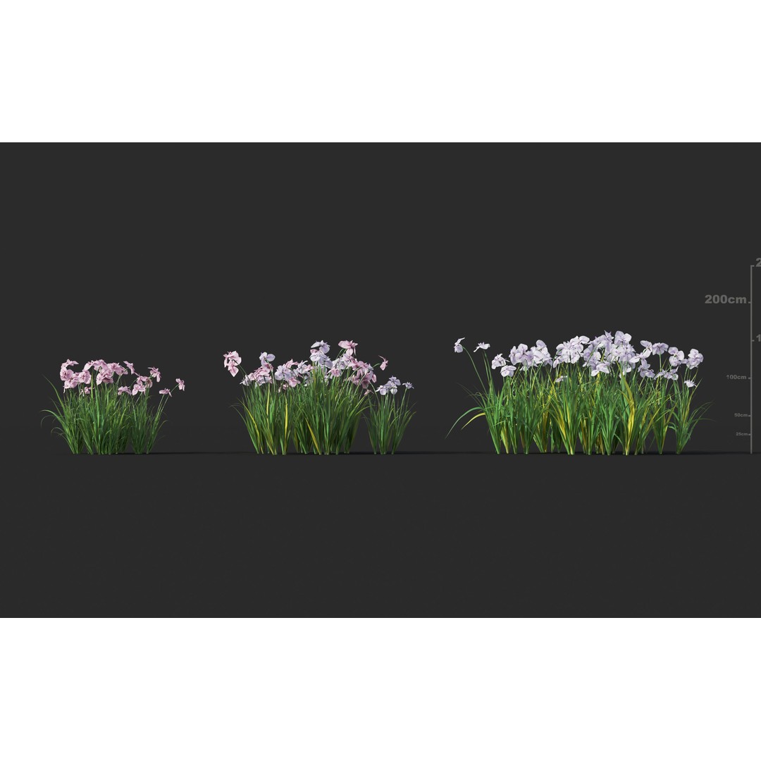 Japanese Plants 3D Model – High-Quality Bush Collection, FBX & GrowFX - View 17