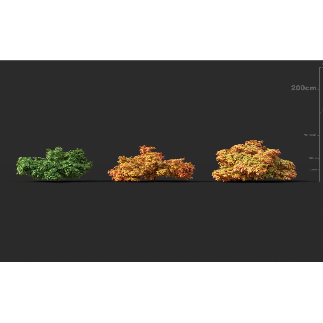 Japanese Plants 3D Model – High-Quality Bush Collection, FBX & GrowFX - View 19