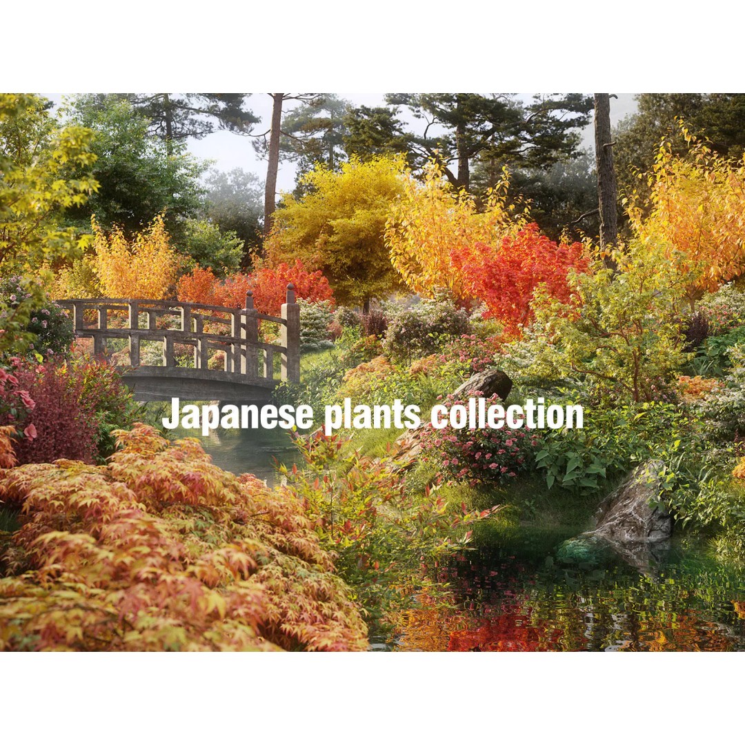 Japanese Plants 3D Model – High-Quality Bush Collection, FBX & GrowFX - View 2