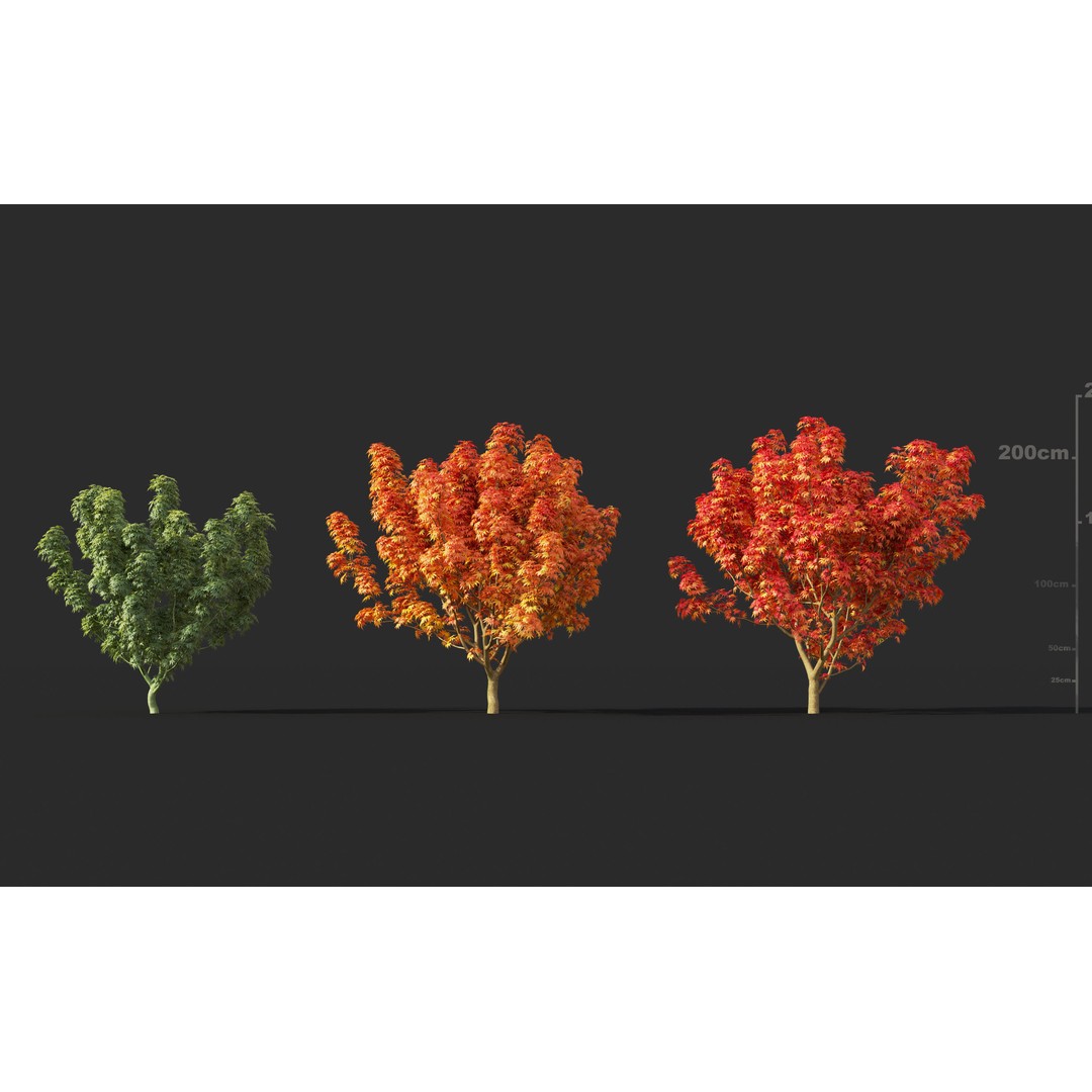 Japanese Plants 3D Model – High-Quality Bush Collection, FBX & GrowFX - View 20