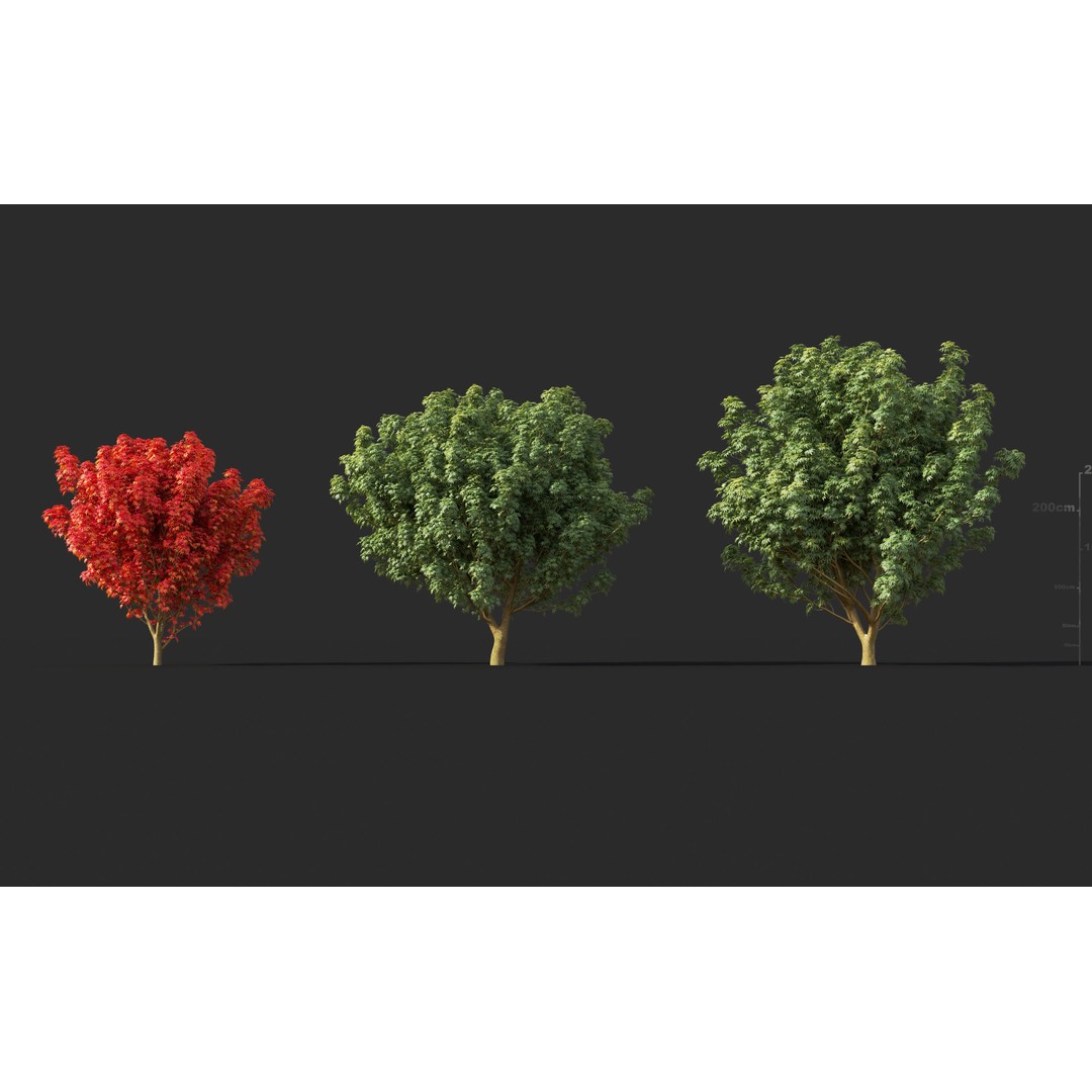 Japanese Plants 3D Model – High-Quality Bush Collection, FBX & GrowFX - View 21