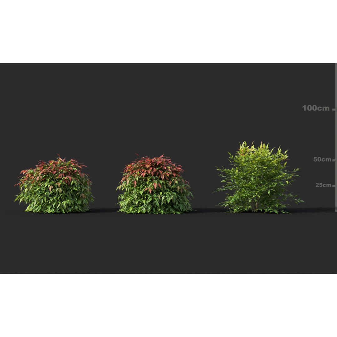 Japanese Plants 3D Model – High-Quality Bush Collection, FBX & GrowFX - View 22