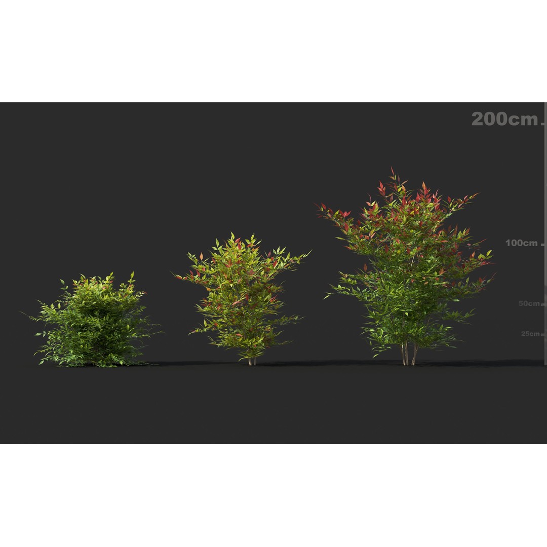Japanese Plants 3D Model – High-Quality Bush Collection, FBX & GrowFX - View 23