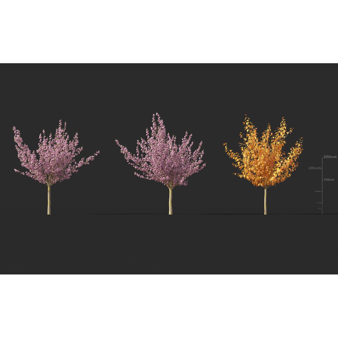Japanese Plants 3D Model – High-Quality Bush Collection, FBX & GrowFX - View 24
