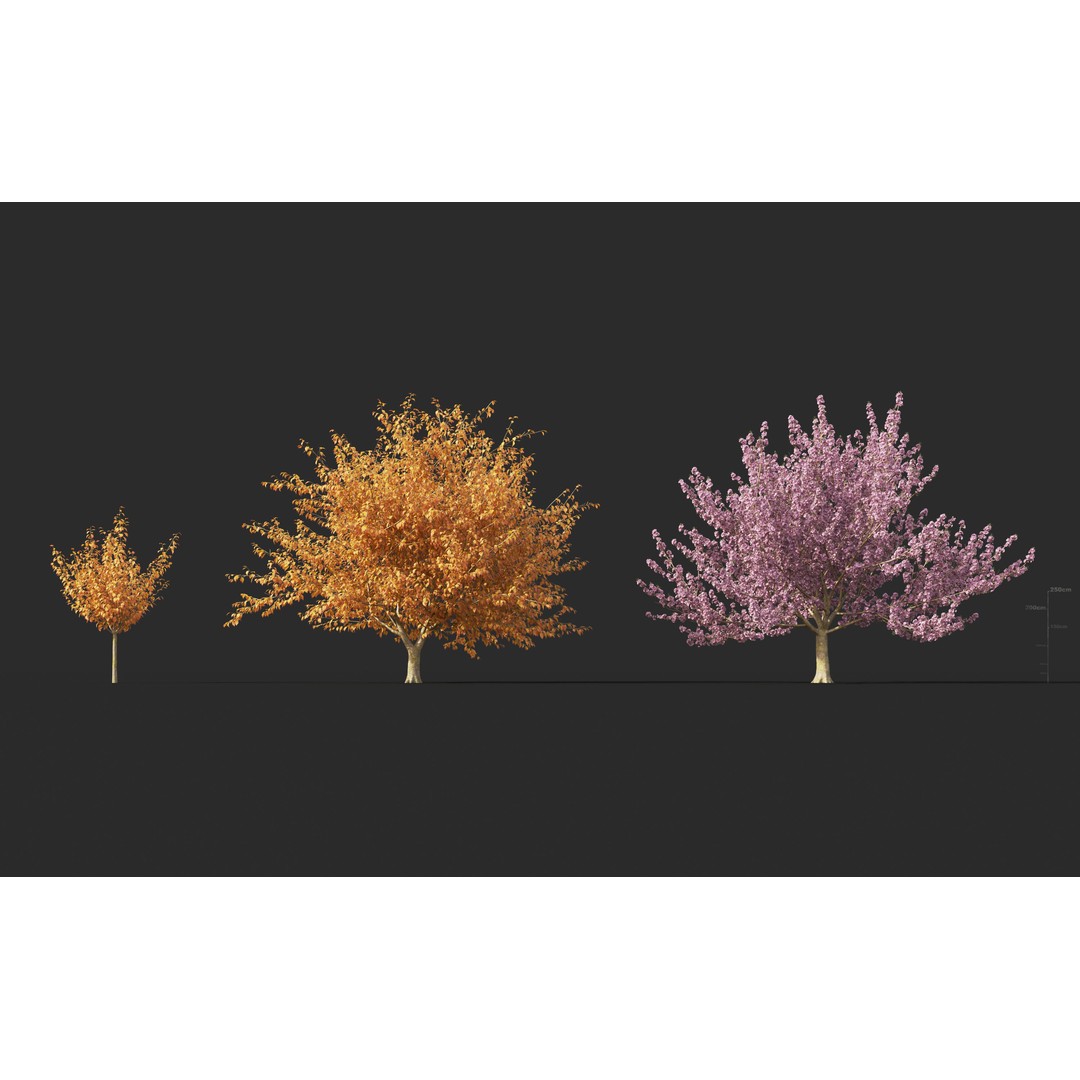 Japanese Plants 3D Model – High-Quality Bush Collection, FBX & GrowFX - View 25