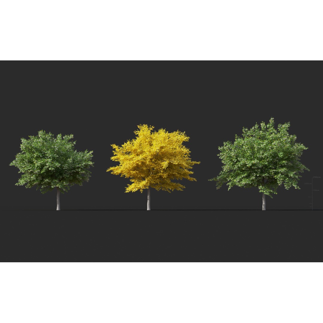 Japanese Plants 3D Model – High-Quality Bush Collection, FBX & GrowFX - View 27