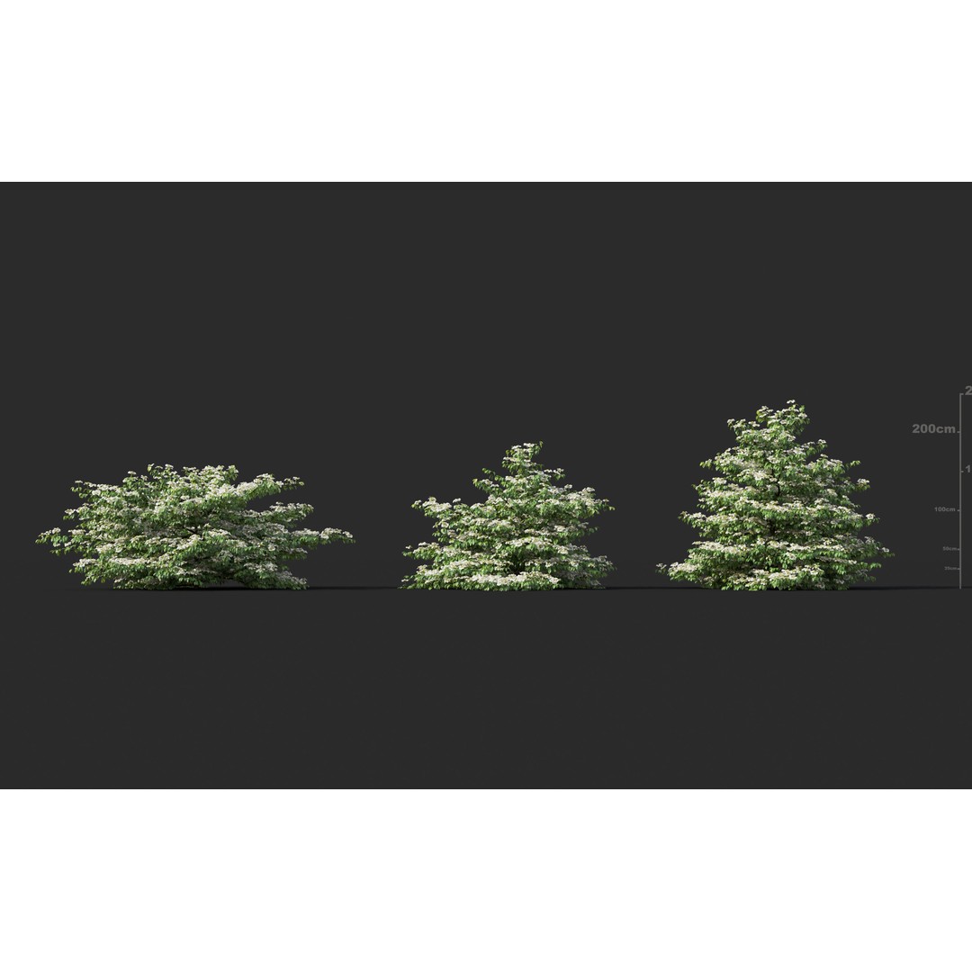 Japanese Plants 3D Model – High-Quality Bush Collection, FBX & GrowFX - View 28
