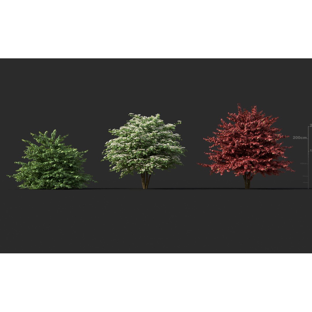 Japanese Plants 3D Model – High-Quality Bush Collection, FBX & GrowFX - View 29