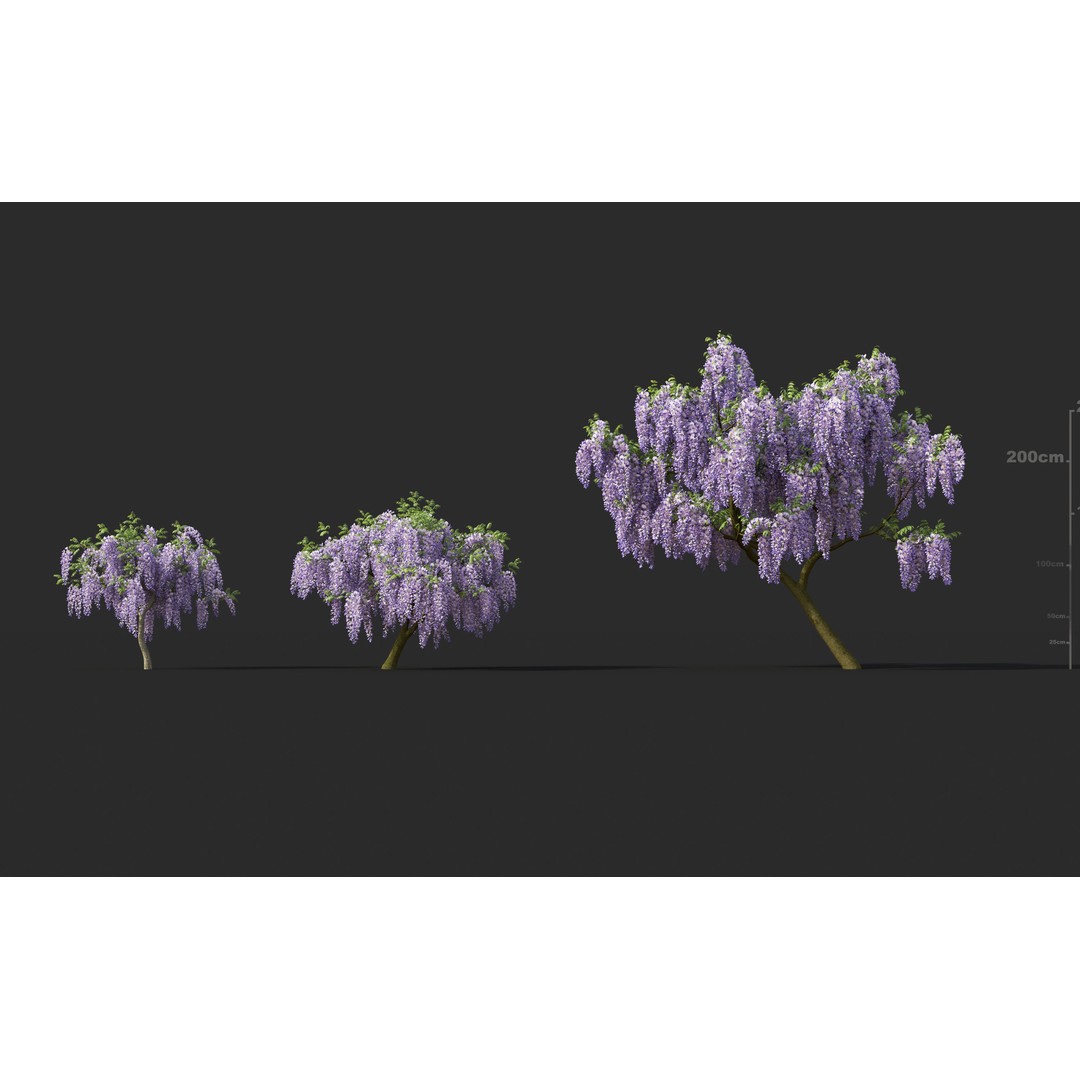 Japanese Plants 3D Model – High-Quality Bush Collection, FBX & GrowFX - View 30