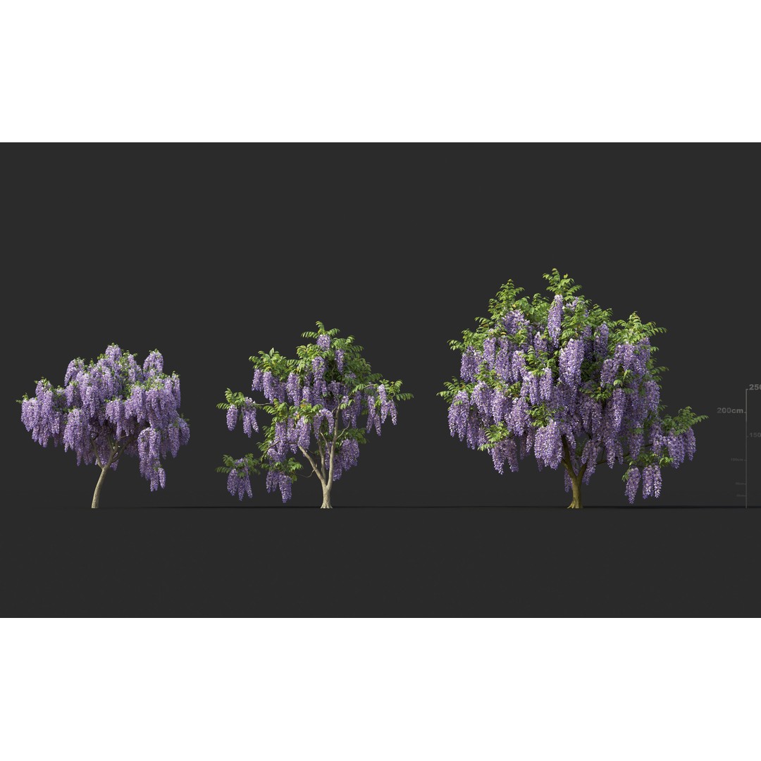 Japanese Plants 3D Model – High-Quality Bush Collection, FBX & GrowFX - View 31
