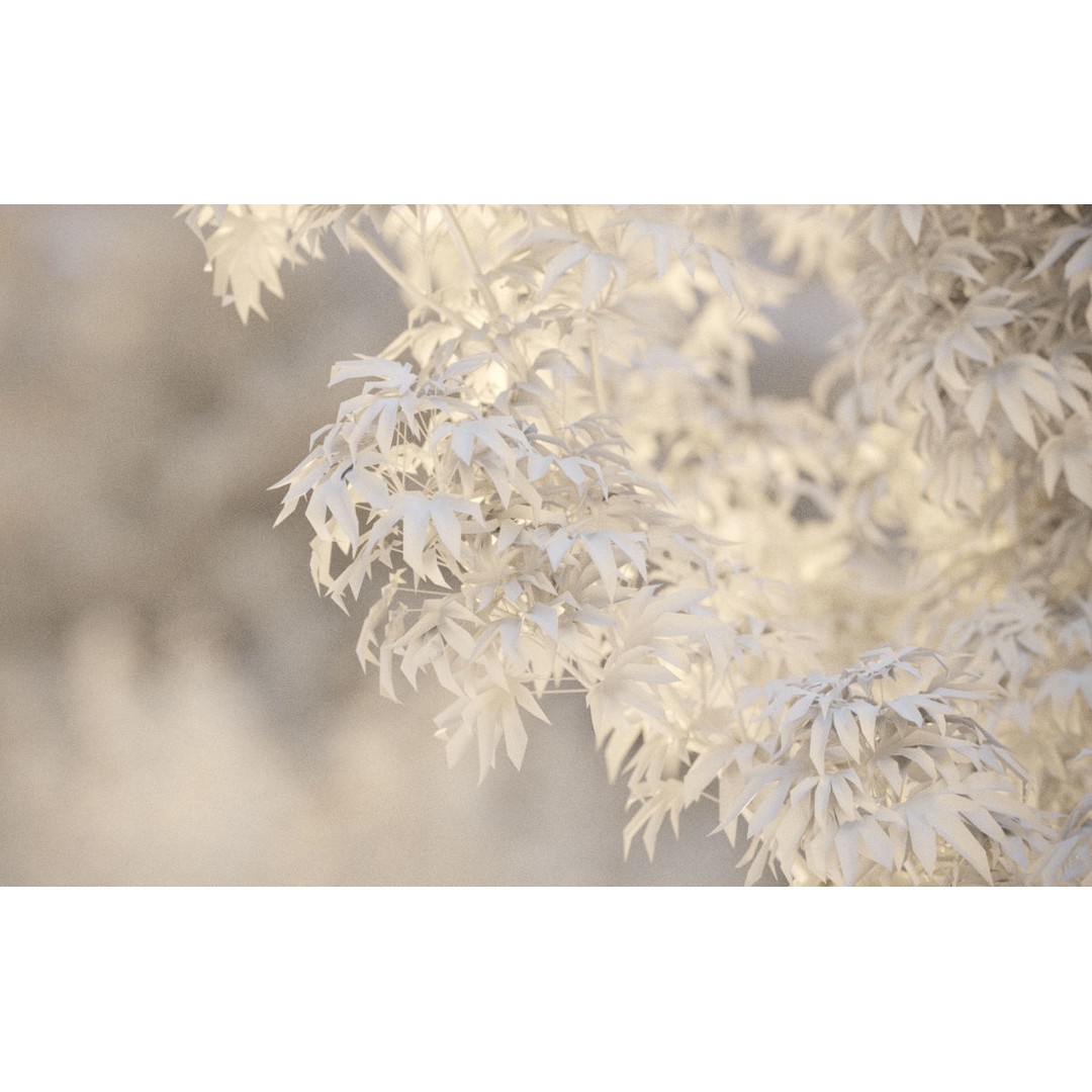 Japanese Plants 3D Model – High-Quality Bush Collection, FBX & GrowFX - View 32