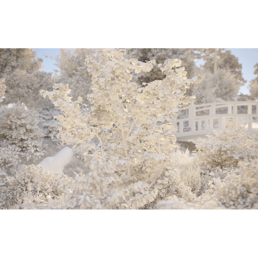 Japanese Plants 3D Model – High-Quality Bush Collection, FBX & GrowFX - View 34