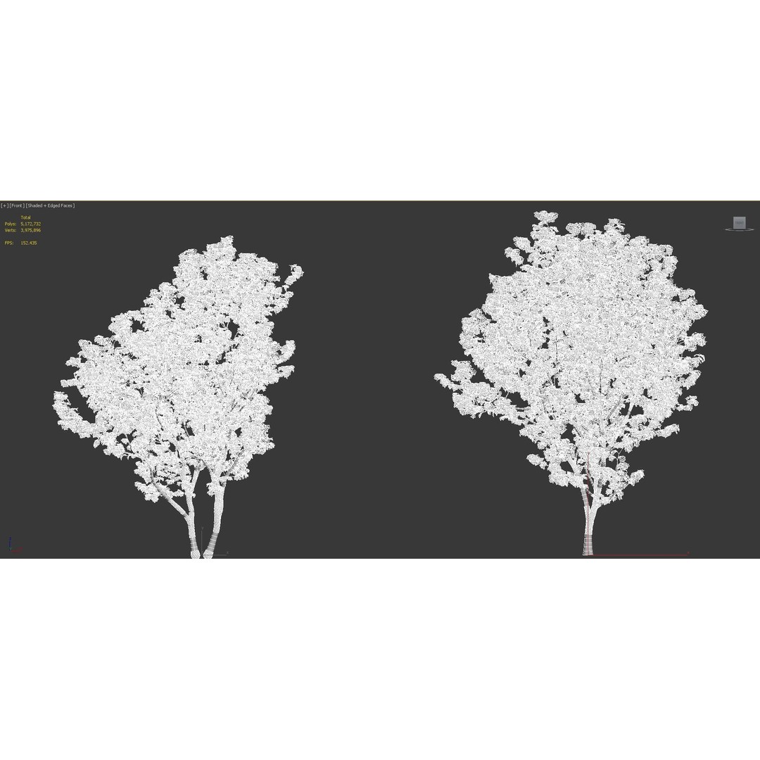 Japanese Plants 3D Model – High-Quality Bush Collection, FBX & GrowFX - View 38