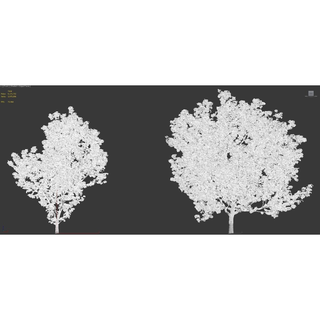 Japanese Plants 3D Model – High-Quality Bush Collection, FBX & GrowFX - View 39