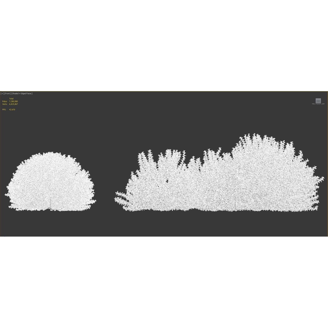 Japanese Plants 3D Model – High-Quality Bush Collection, FBX & GrowFX - View 40