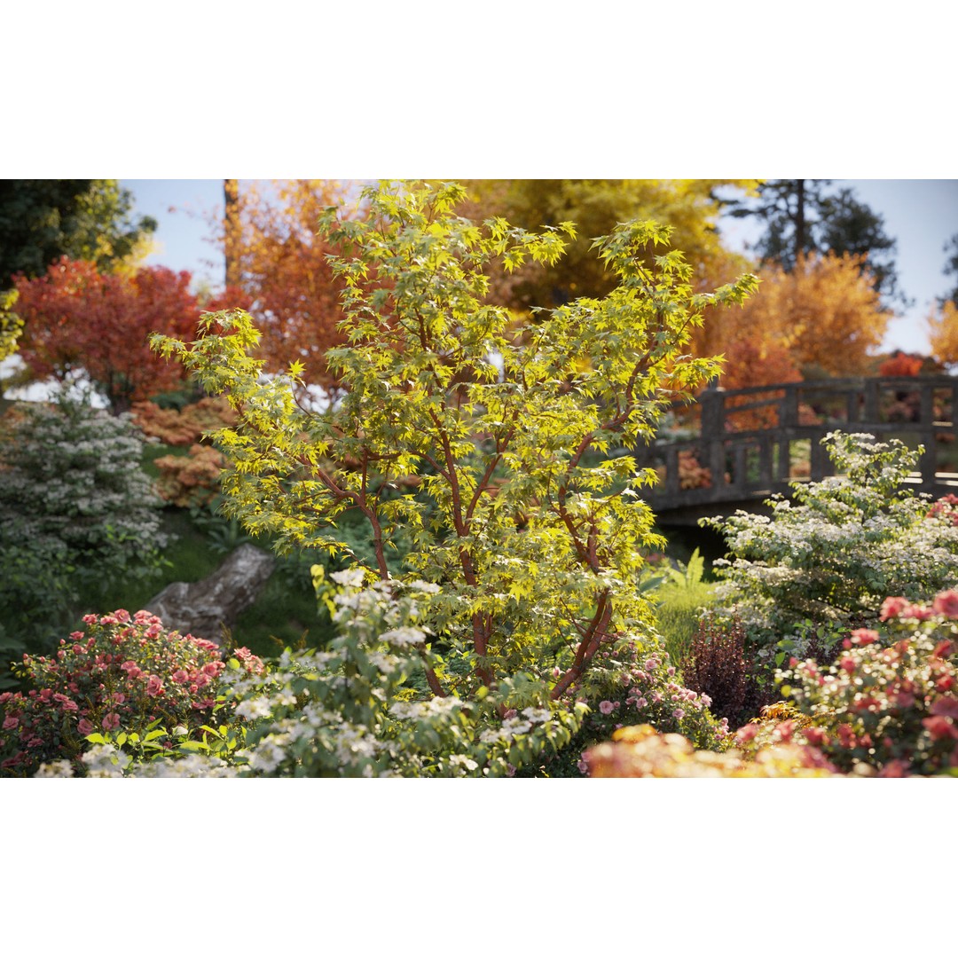 Japanese Plants 3D Model – High-Quality Bush Collection, FBX & GrowFX - View 6