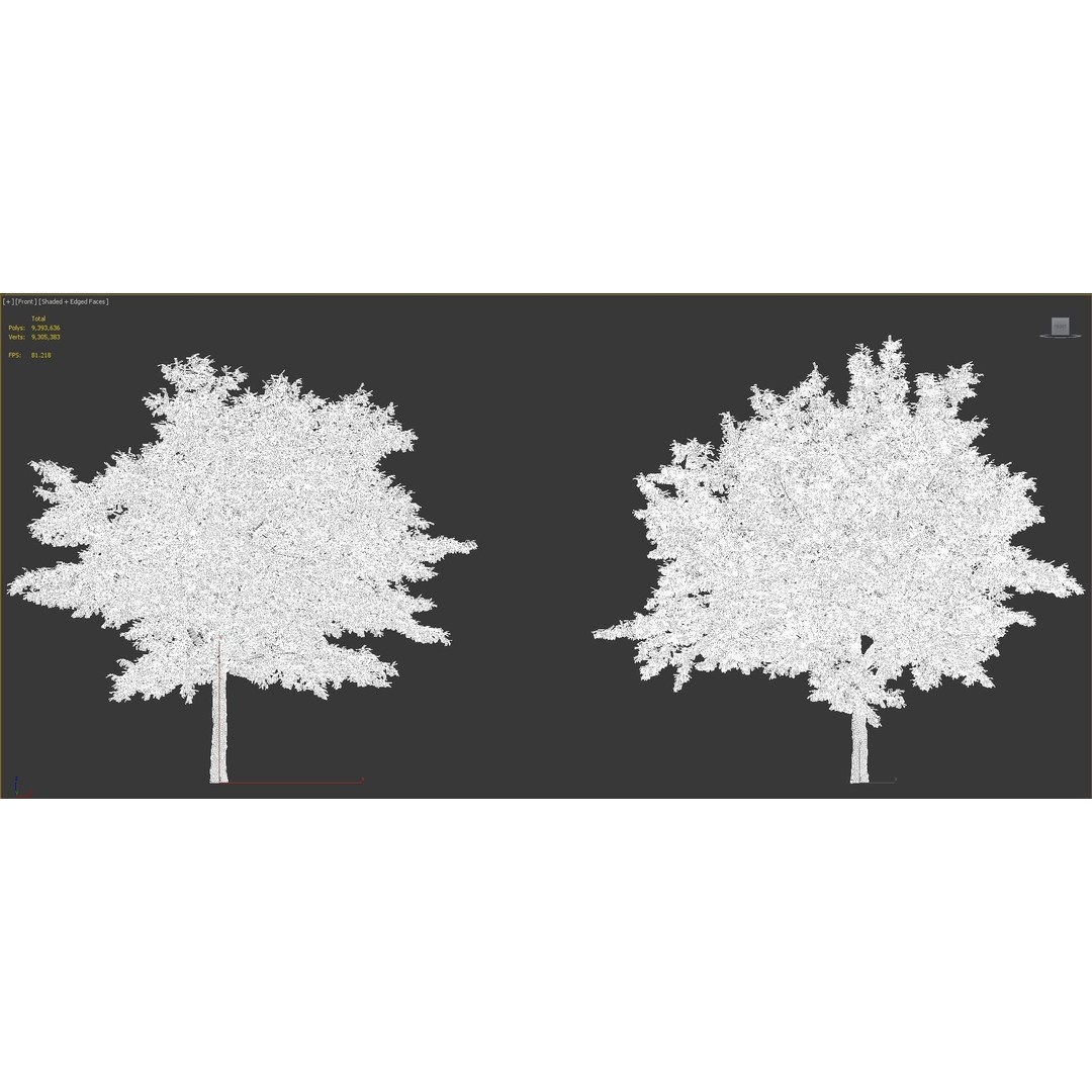 Japanese Plants 3D Model – High-Quality Bush Collection, FBX & GrowFX - View 66