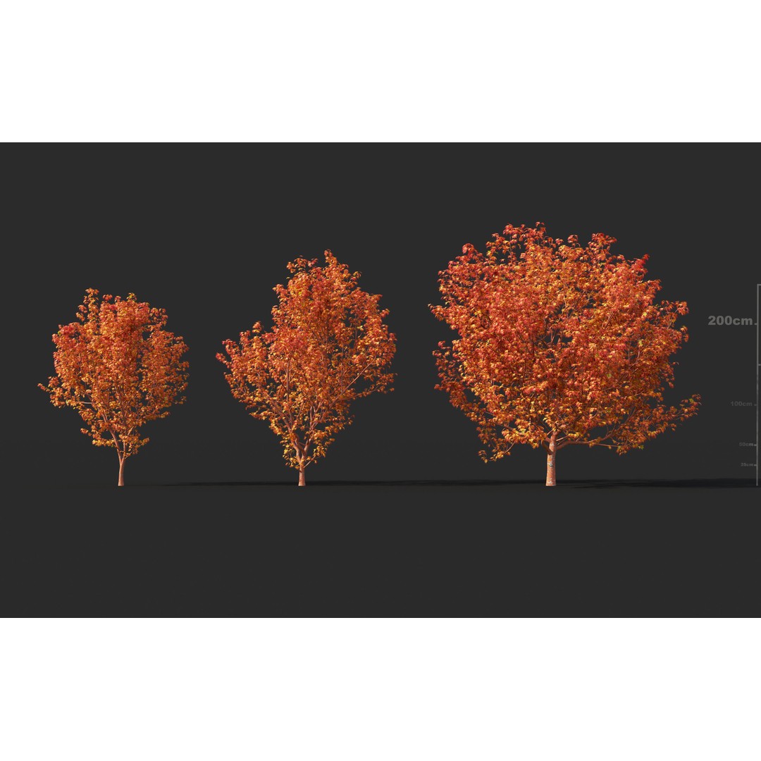 Japanese Plants 3D Model – High-Quality Bush Collection, FBX & GrowFX - View 9