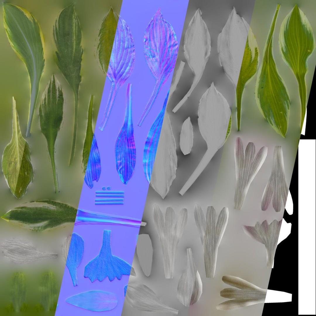 Hosta 3D Model – Low Poly PBR Plant Asset, FBX & OBJ