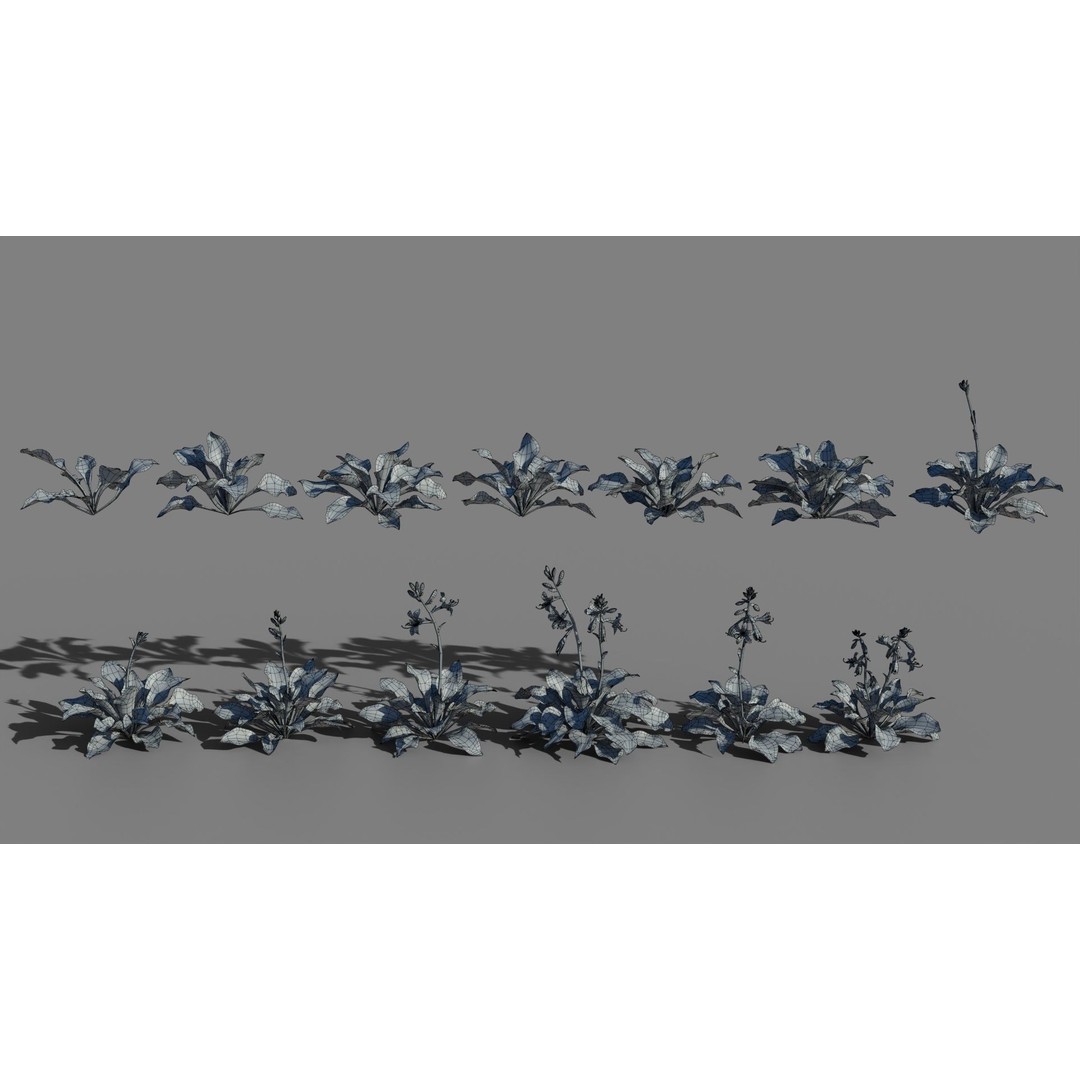 Hosta 3D Model – Low Poly PBR Plant Asset, FBX & OBJ - View 10