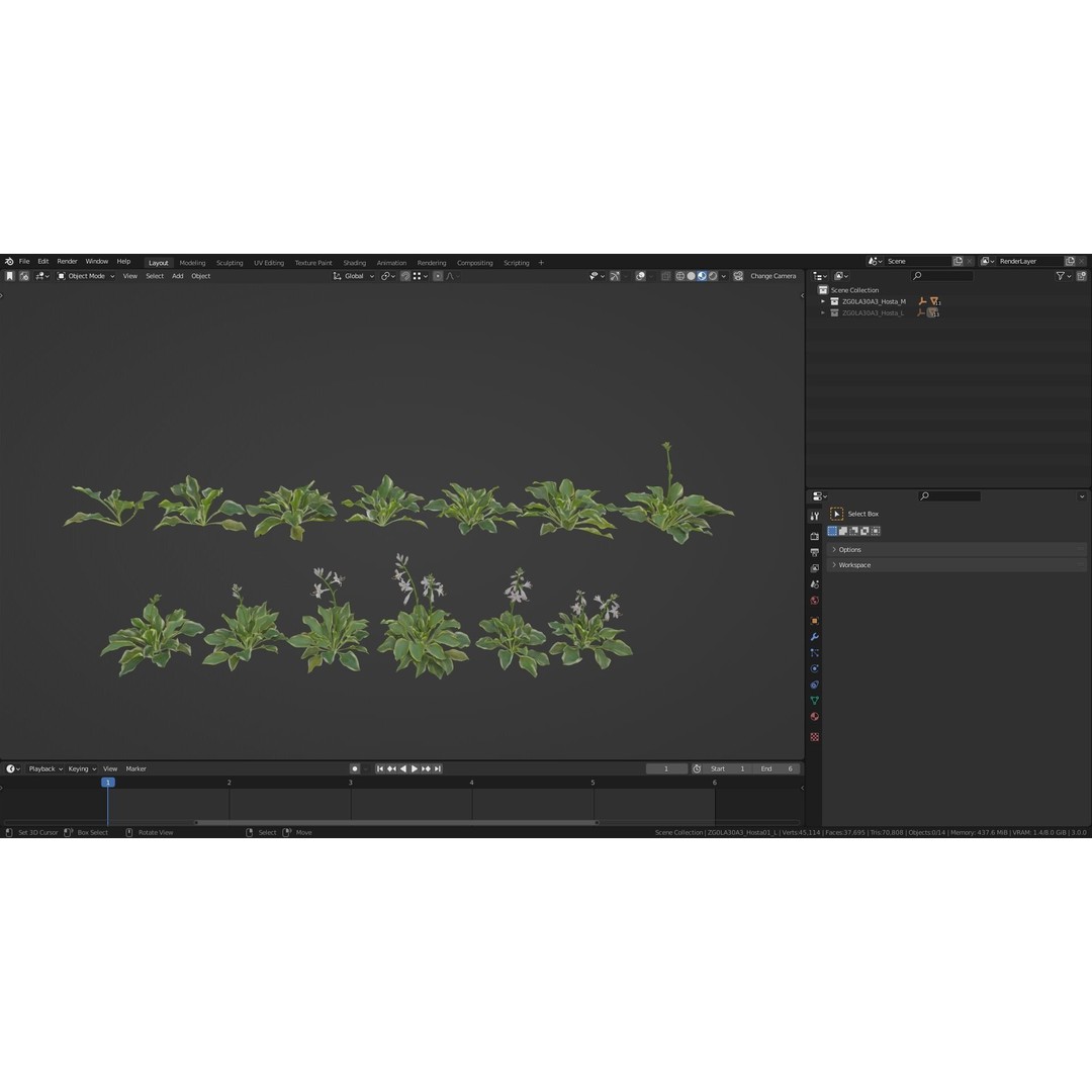 Hosta 3D Model – Low Poly PBR Plant Asset, FBX & OBJ - View 13