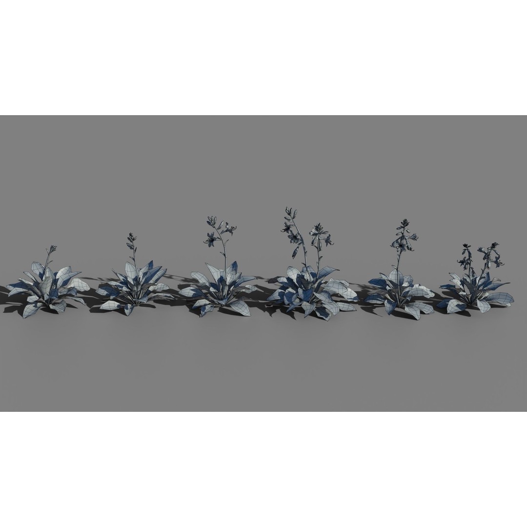 Hosta 3D Model – Low Poly PBR Plant Asset, FBX & OBJ - View 8