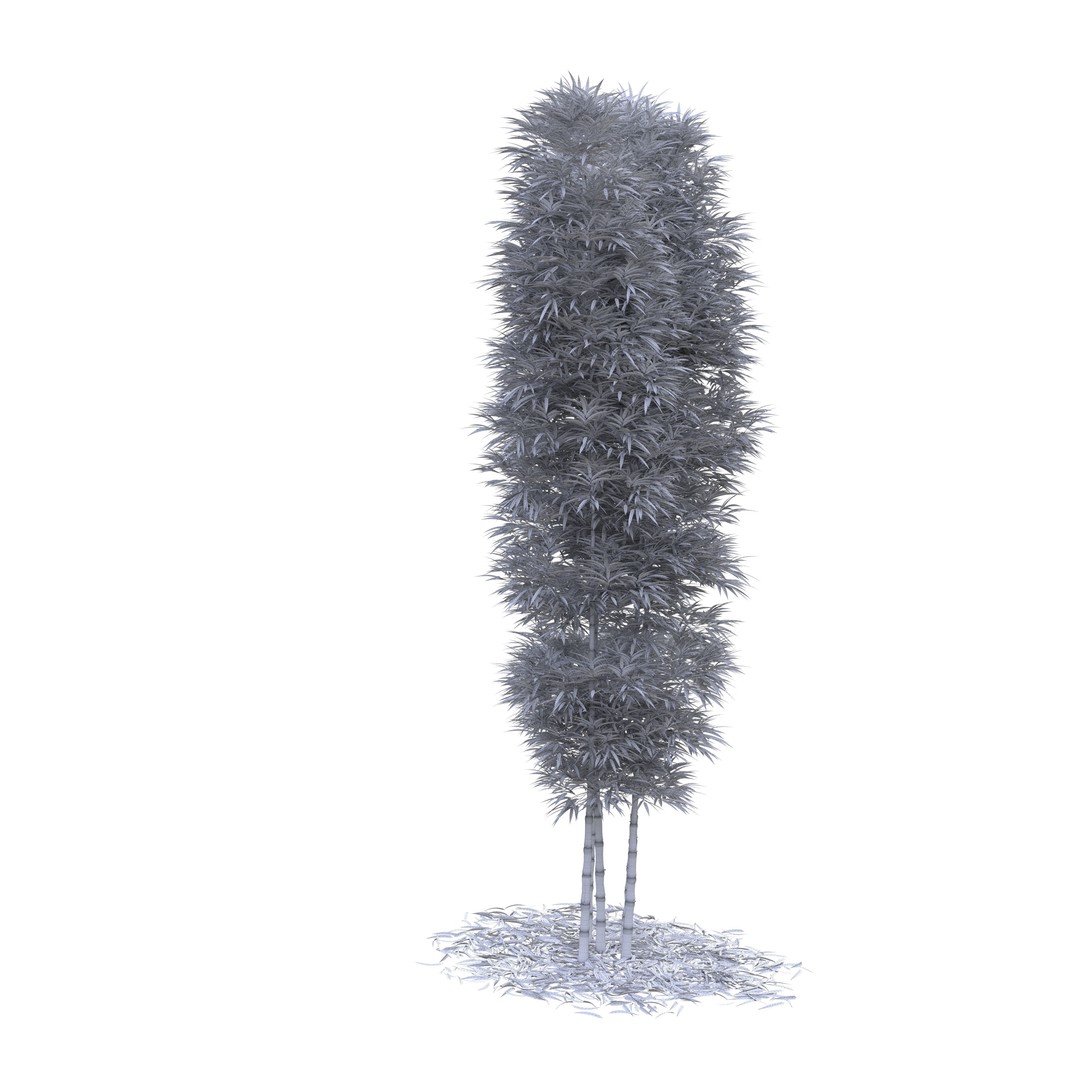 Bamboo Phyllostachys Aurea 3D Model – High Poly Plant Asset, FBX, OBJ