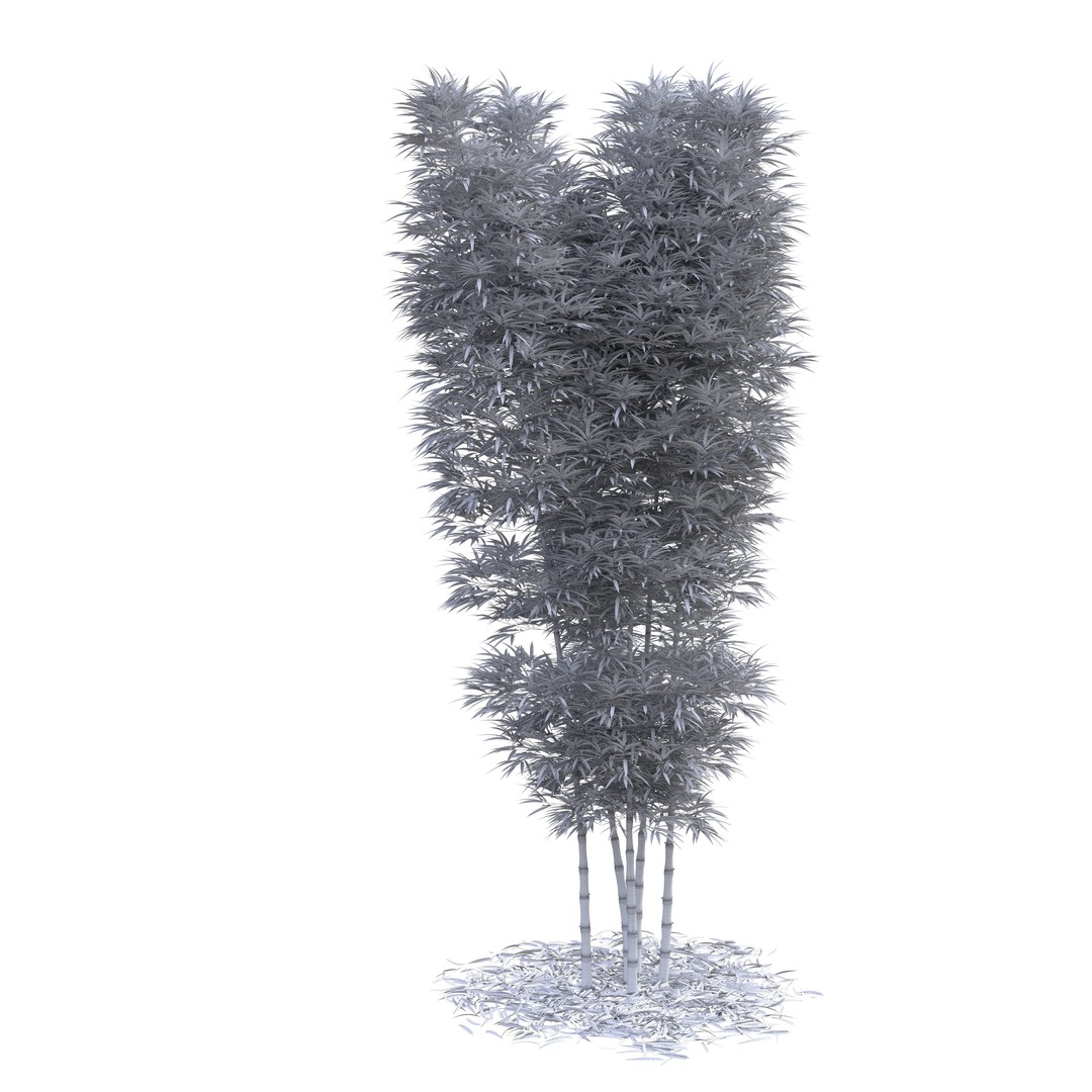 Bamboo Phyllostachys Aurea 3D Model – High Poly Plant Asset, FBX, OBJ - View 13