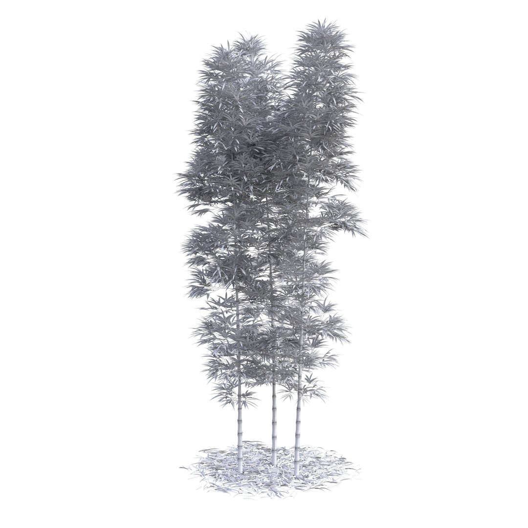 Bamboo Phyllostachys Aurea 3D Model – High Poly Plant Asset, FBX, OBJ - View 18