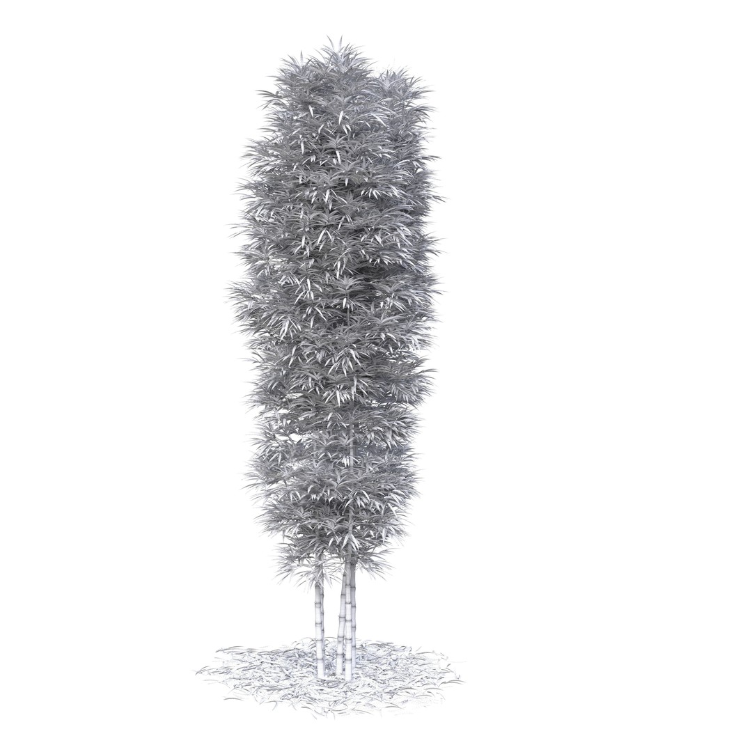 Bamboo Phyllostachys Aurea 3D Model – High Poly Plant Asset, FBX, OBJ - View 30
